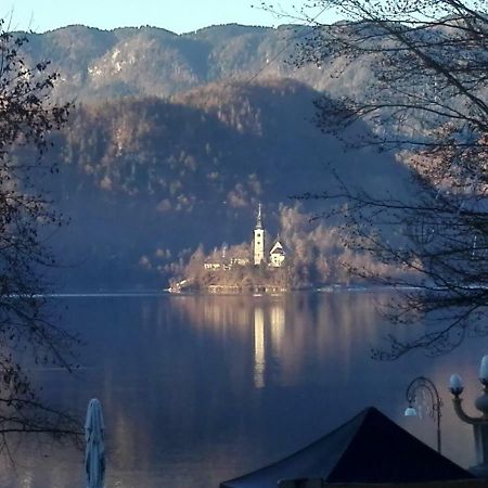 Apartma Carnica Bled Bagian luar foto