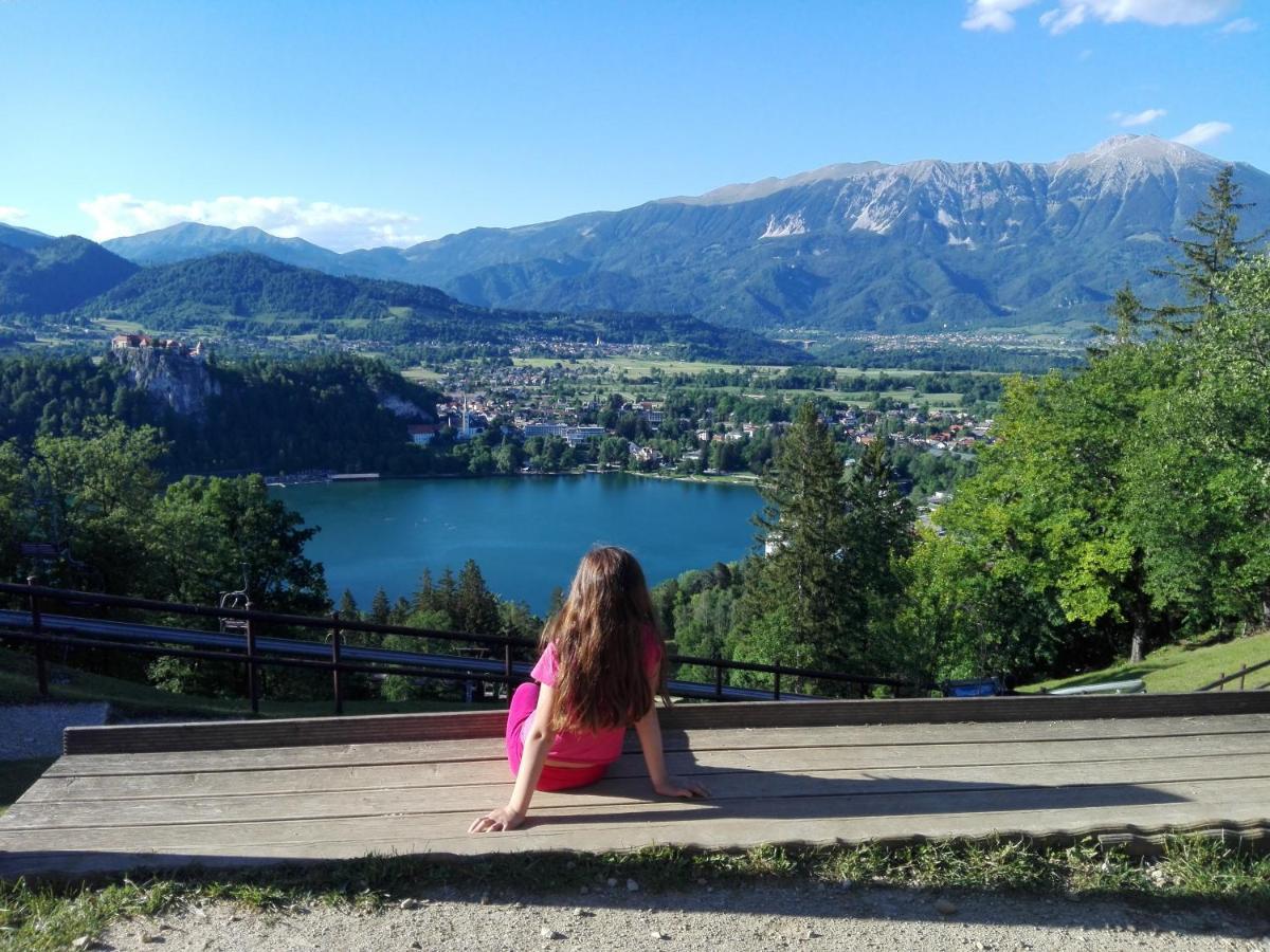 Apartma Carnica Bled Bagian luar foto