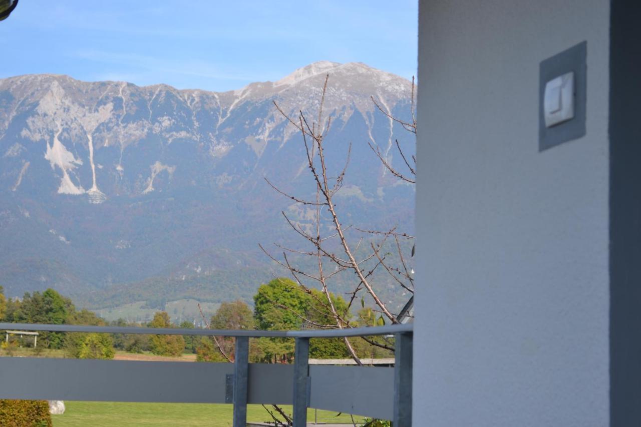 Apartma Carnica Bled Bagian luar foto