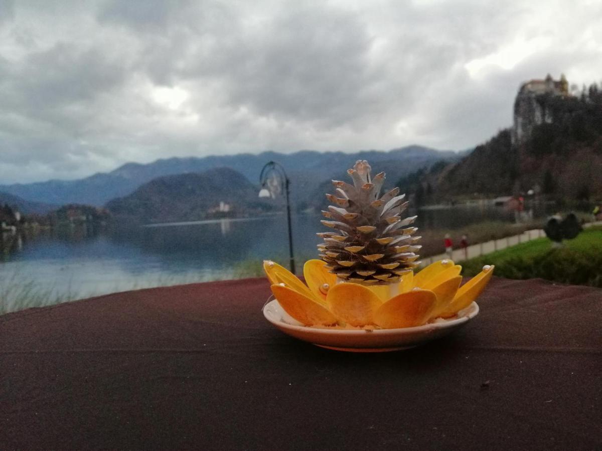 Apartma Carnica Bled Bagian luar foto